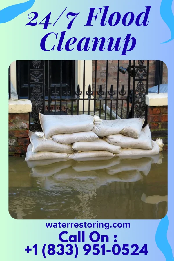 24/7 Flood Cleanup in Chesaning, MI