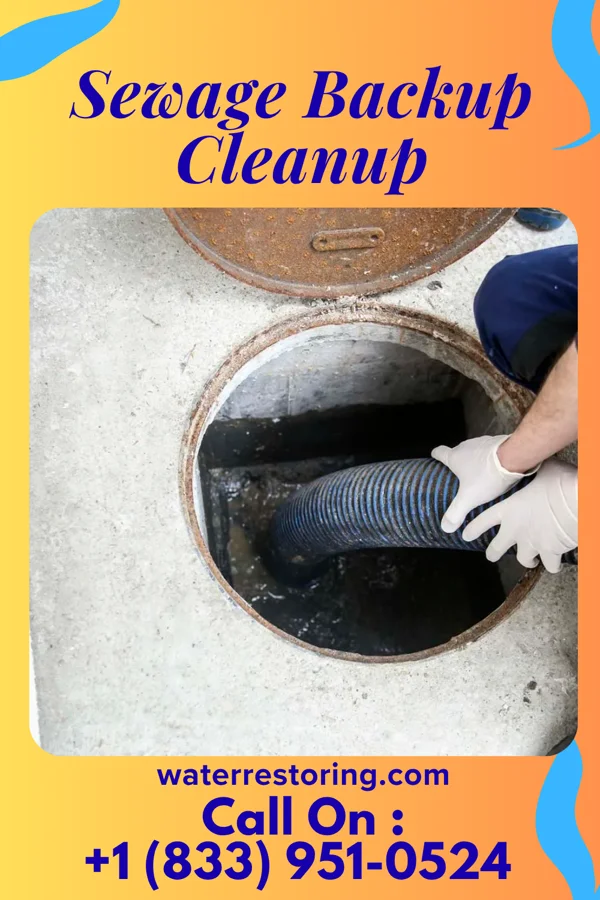 Sewage Backup Cleanup in Chesaning, MI