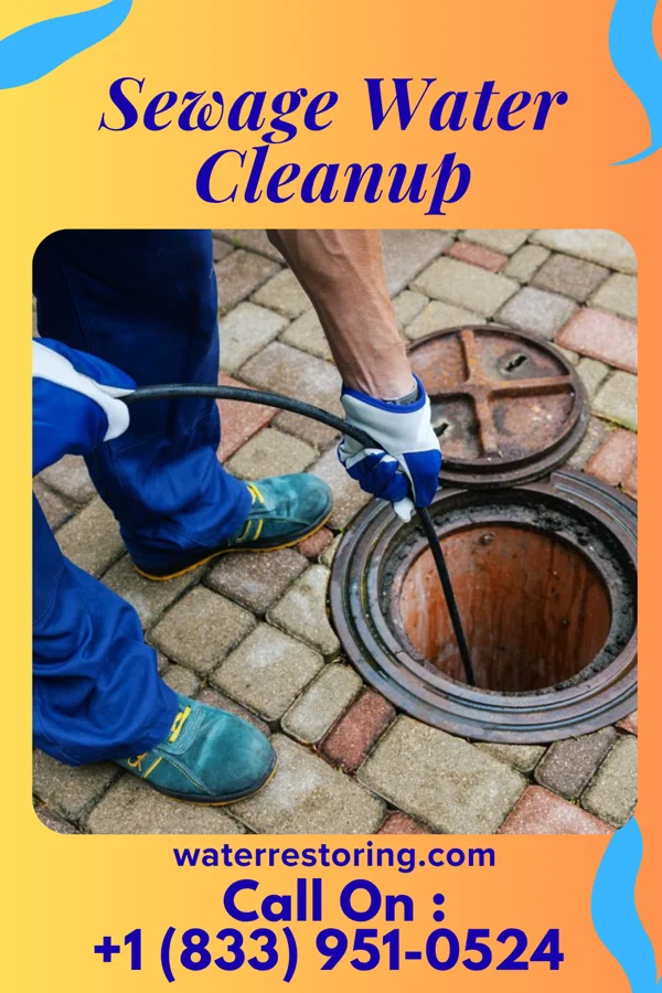 Sewage Water Cleanup in Chesaning, MI